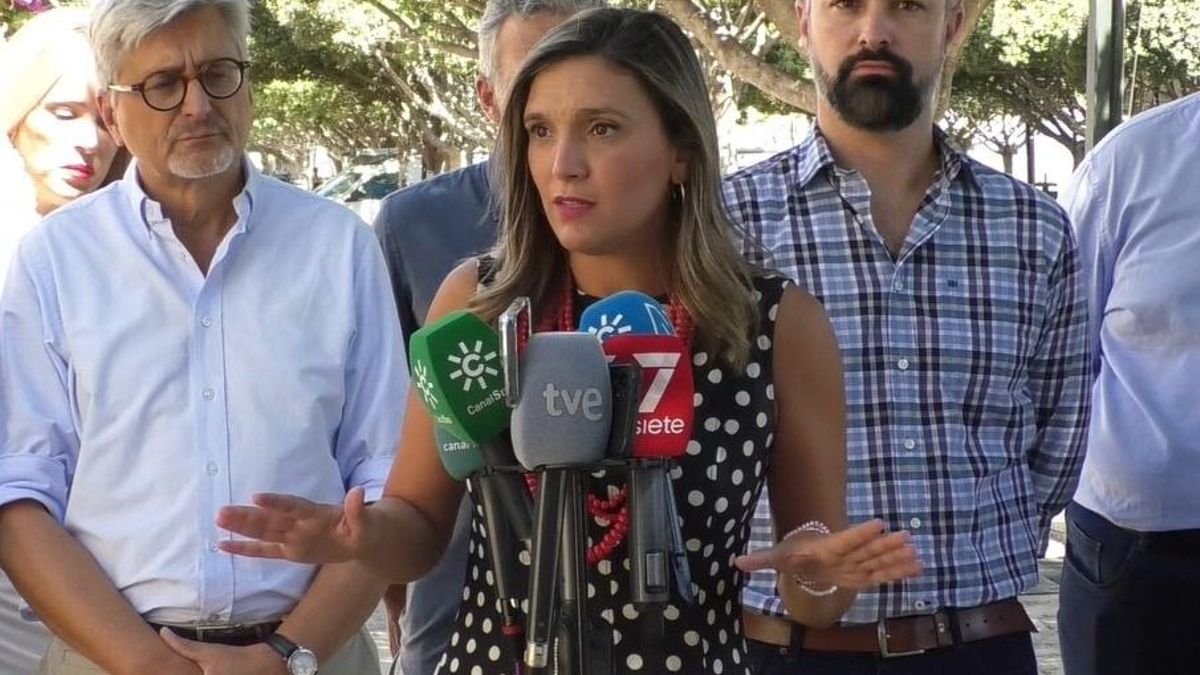 El PSOE andaluz critica que Moreno esté "de vacaciones sin dar la cara" frente al "drama" de los incendios de este verano