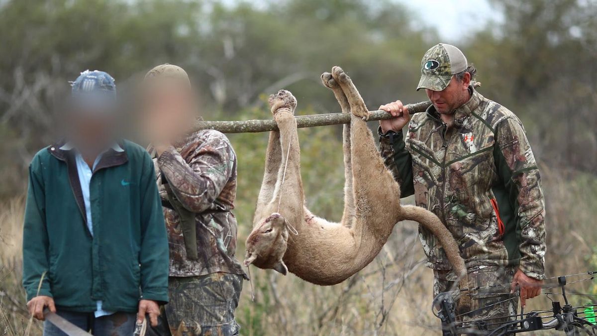 Con la guía de la empresa argentina Caza & Safari, investigada en la Justicia, el cazador Jason Bruce, derecha, cazó un puma en Argentina y dio cuenta de ello en sus redes sociales.
