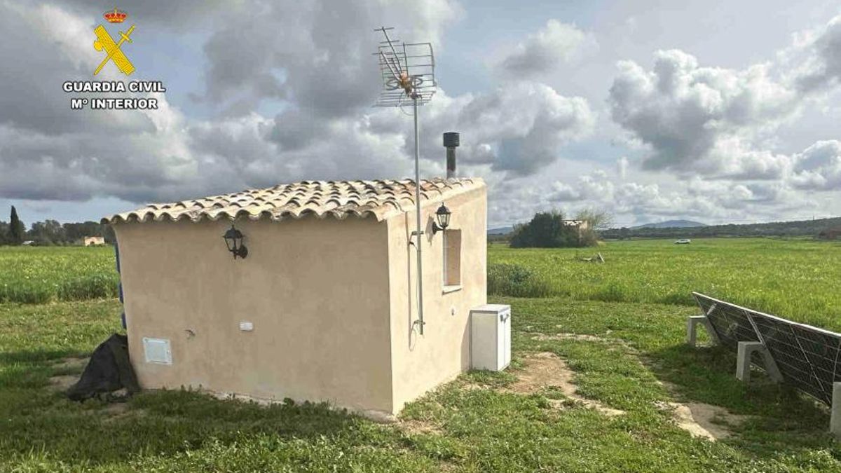 Denunciado por alquilar una barraca de 8 metros cuadrados como vivienda por 695 euros en Mallorca