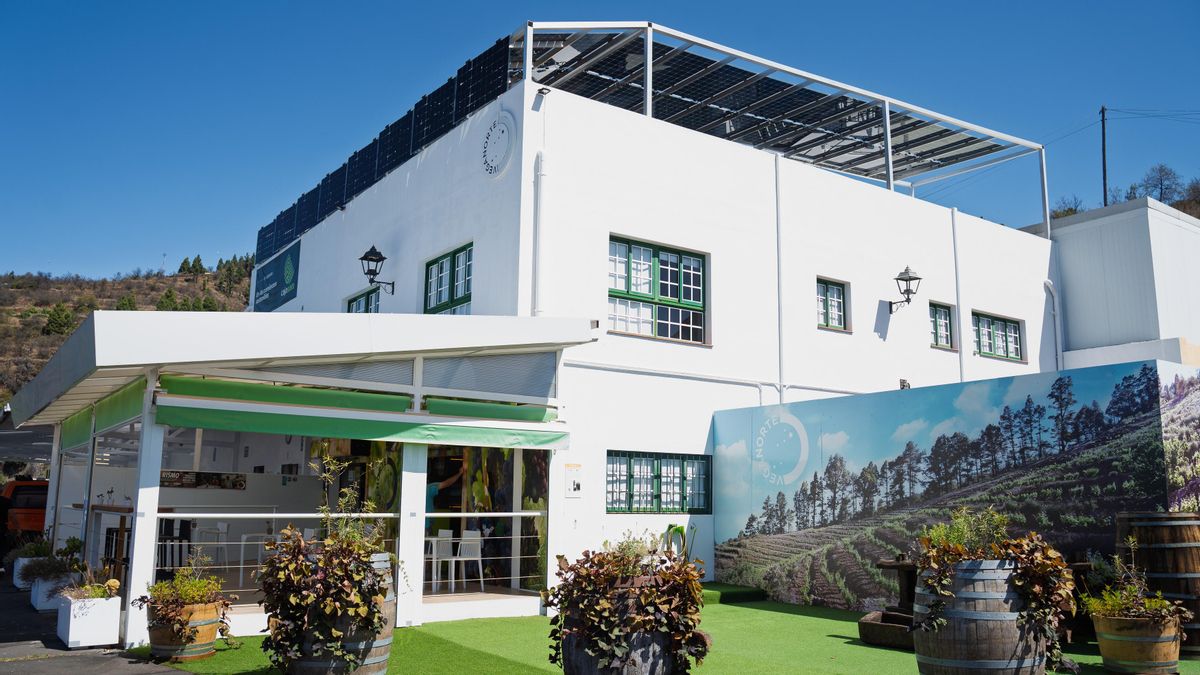 Bodega Vega Norte, en el municipio de Tijarafe.