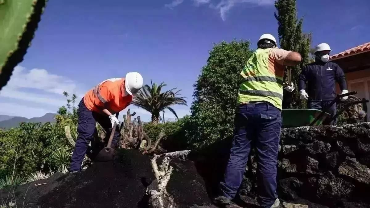 El paro sube en diciembre  en La Palma un 4,7% y la Isla cierra 2025 con  6.150 personas desempleadas, un 0,4% más que en 2024