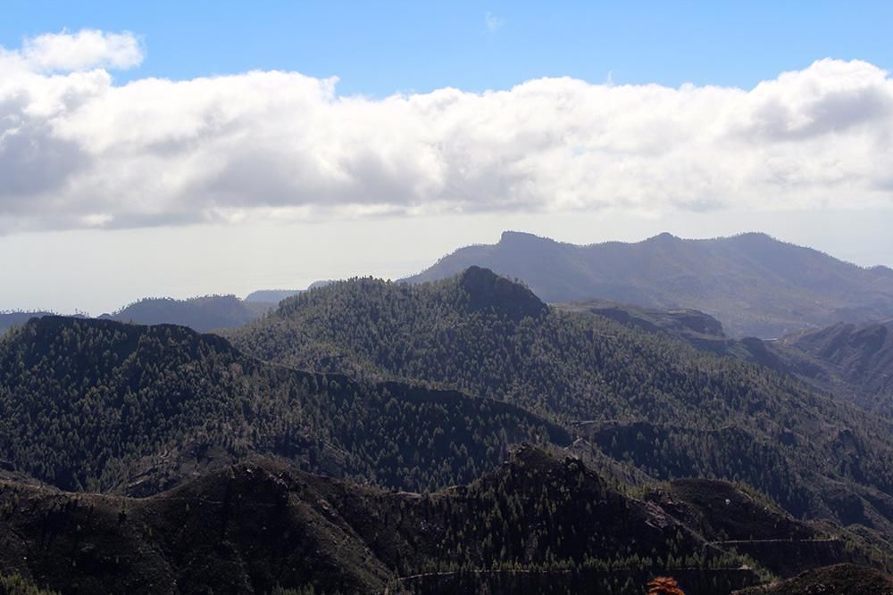 Lluvias de noviembre: un regalo para las presas y la agricultura de Gran Canaria. (Foto: Cirenia Vico).