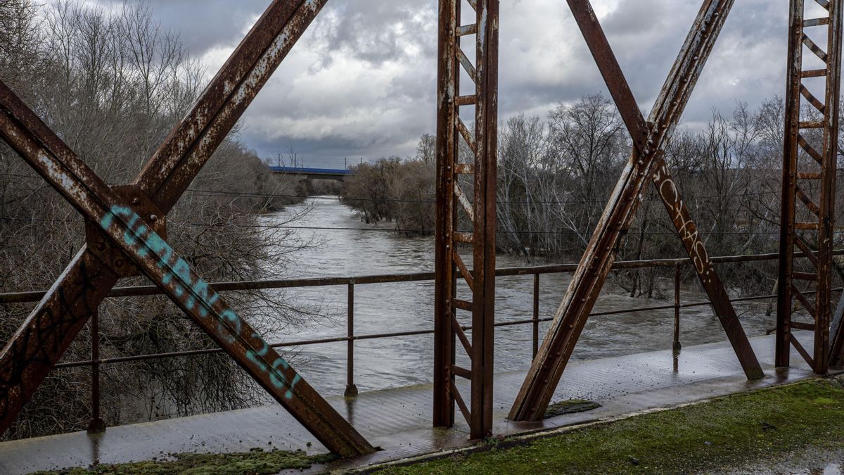 Río Jarama a su paso por Rivas, en Madrid, este jueves