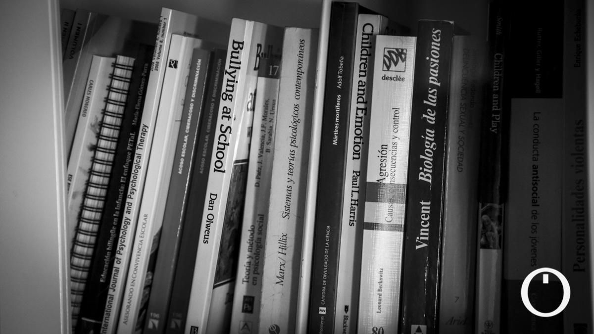 Libros en la casa de Rosario Ortega, experta en Bullying