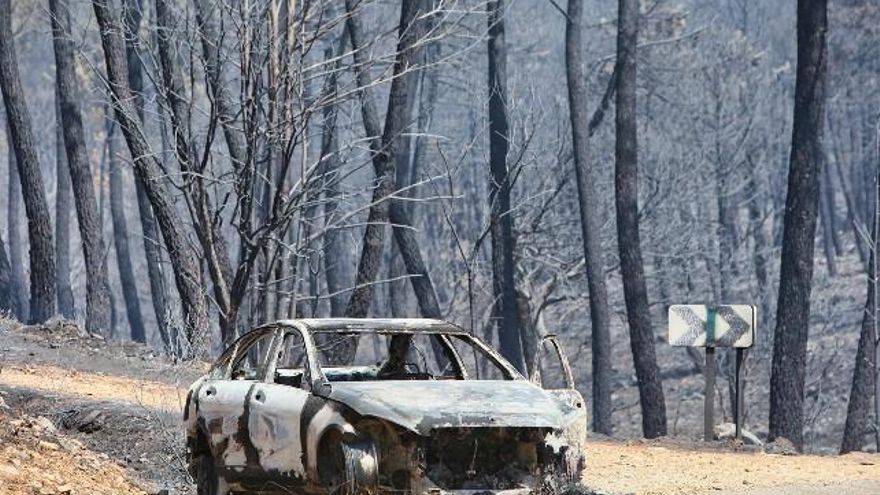 Un coche calcinado en el incendio forestal de Losacio (Zamora). // J.L. Leal / ICAL
