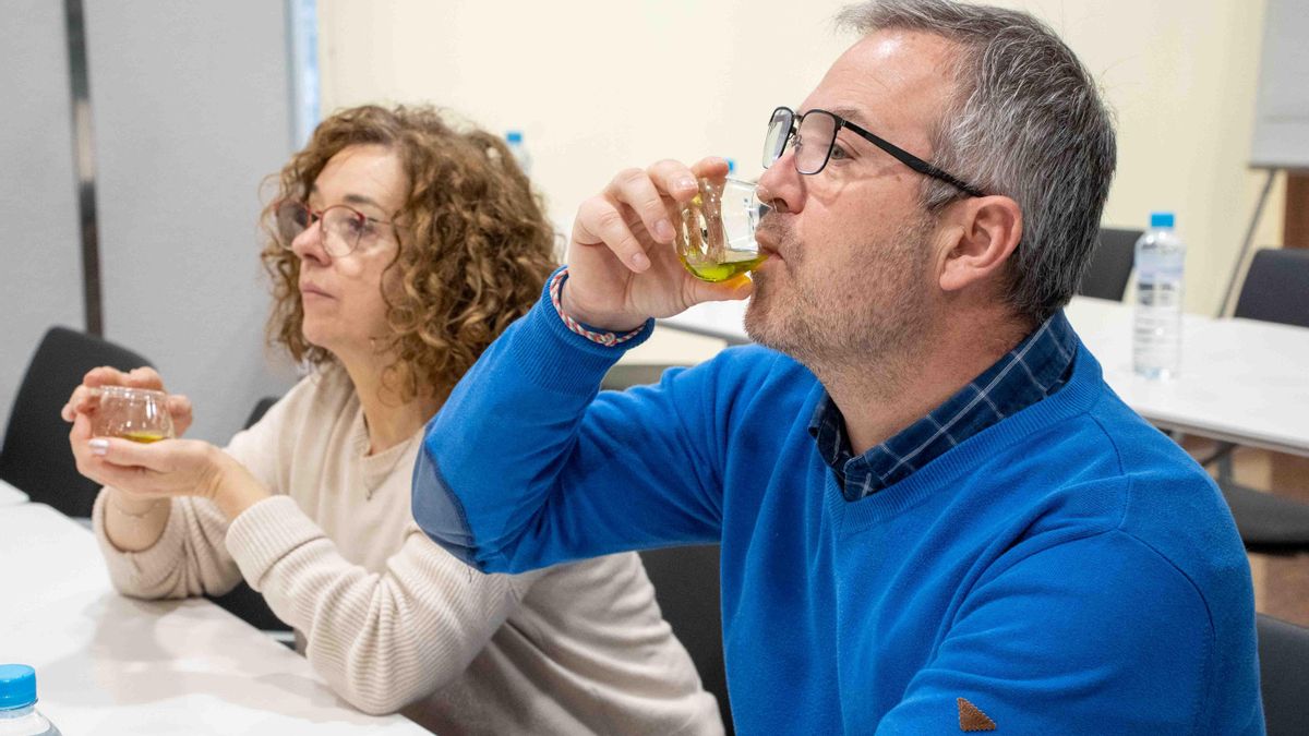 Cata del aceite. DOP MONTES DE TOLEDO