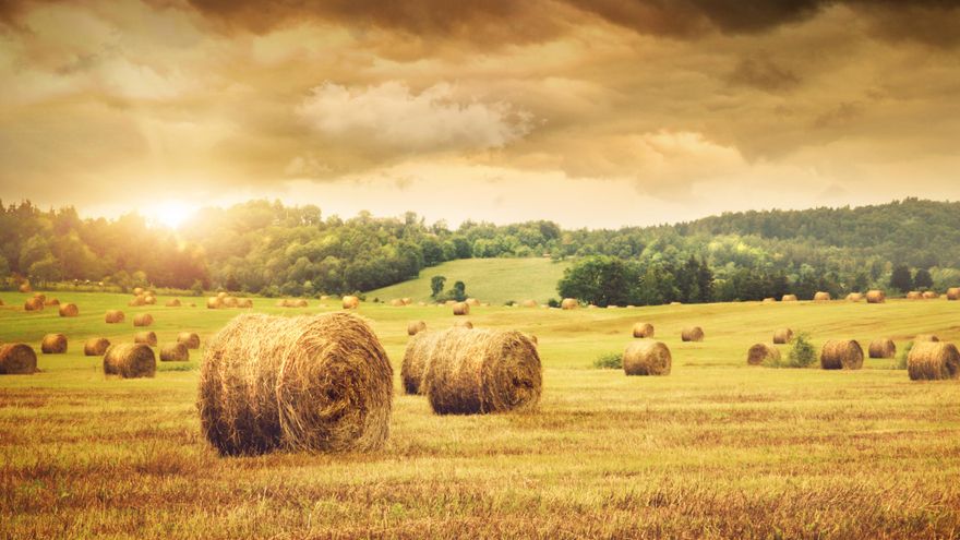 Agricultura abre a consulta pública para seis reales decretos que permitirán la aplicación de la nueva PAC 2023-2027