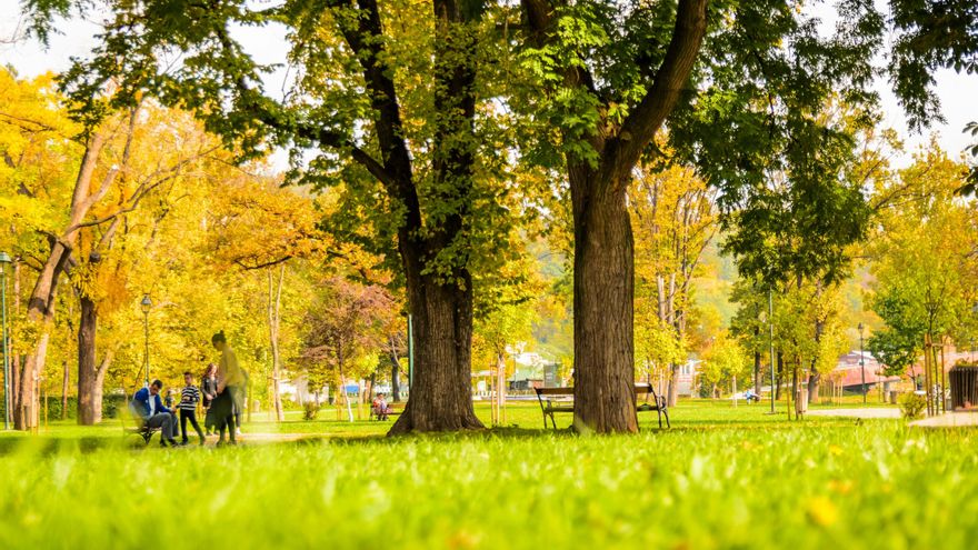 Desde la calidad del sueño a la salud de nuestros ojos: los motivos por los que deberíamos salir más a la calle