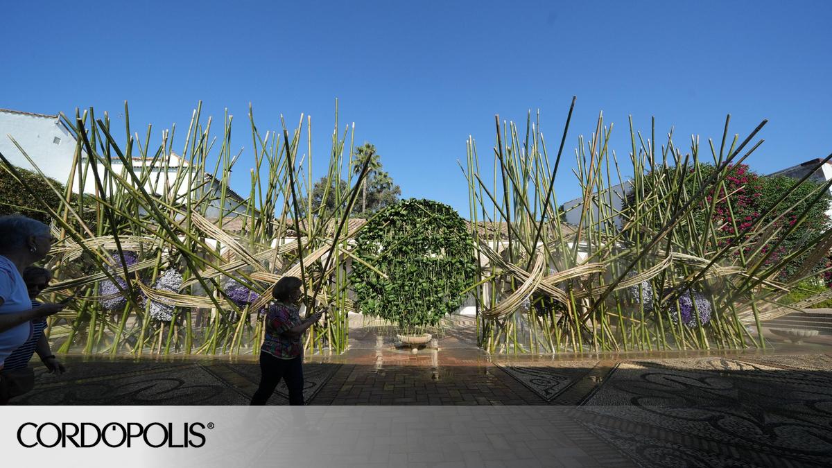 cordopolis.eldiario.es