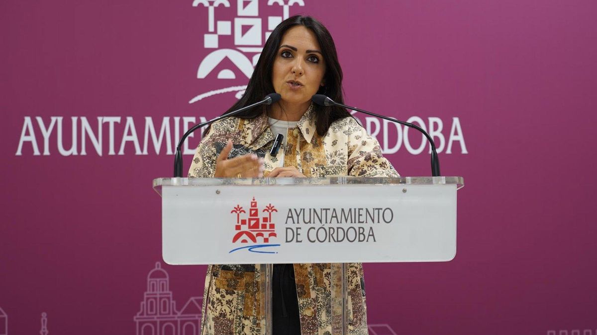 El PSOE exige al gobierno local "más eurotaxis"
