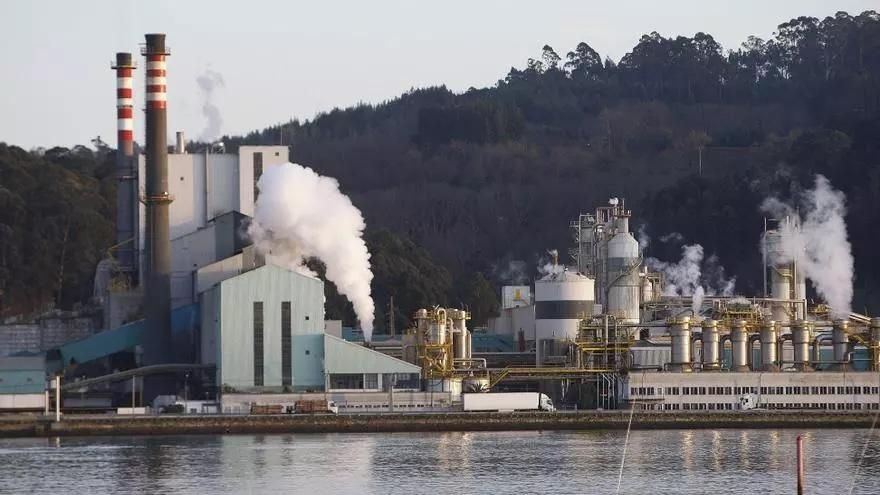 Los informes de ENCE que descartaron su traslado a otro río gallego se convierten en munición contra la celulosa de Altri