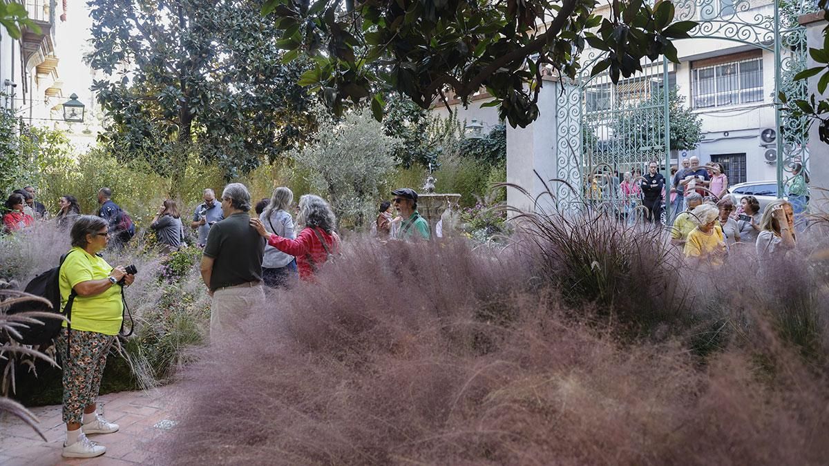 FLORA 2025 - Jardín sin tiempo' (Patio del Reloj de la Diputación)