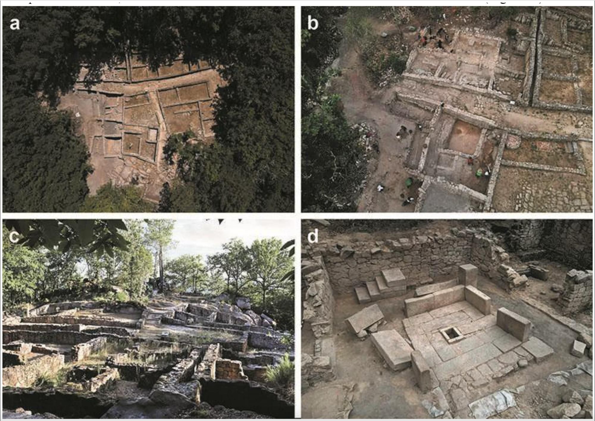 Excavaciones en la ciudad romana de Armea, A Cibdá (Allariz, provincia de Ourense, NO de España), en el momento del hallazgo del trilobite. a , Vista aérea del yacimiento (de norte a sur), aprovechando un claro del bosque. b , Vista oblicua de la domus Hexasquel . c , Vista desde el sur, con la domus Hexasquel al fondo. d , Detalle del atrio de la Casa Este.