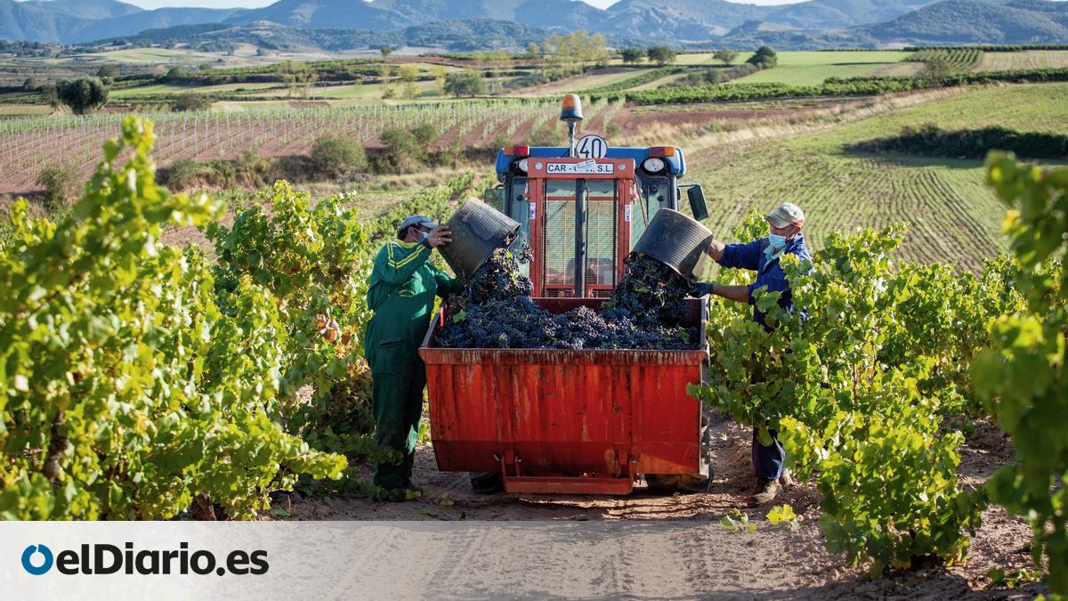 www.eldiario.es