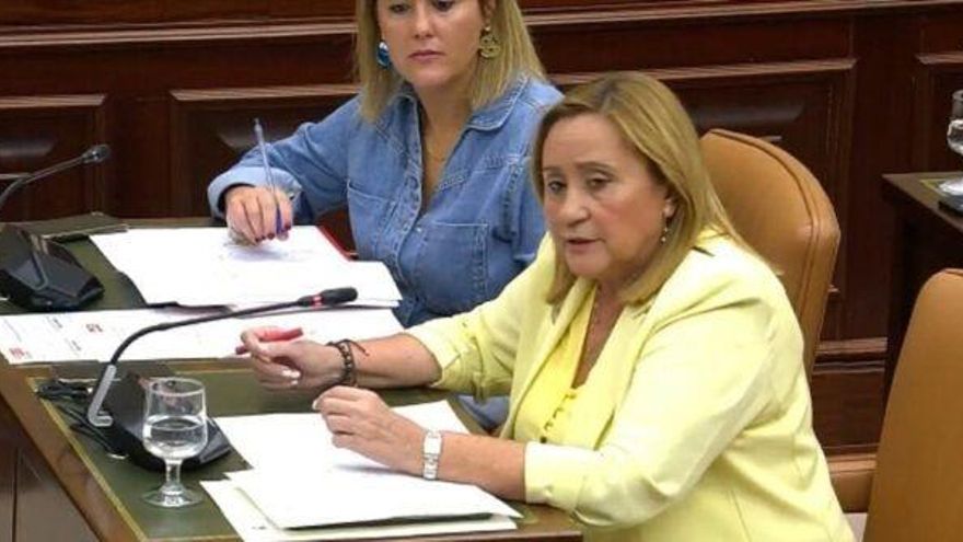 La diputada nacional por el PSOE de Huelva y portavoz de la Comisión de Agricultura, Pesca y Alimentación en el Congreso de los Diputados, María Luisa Faneca.