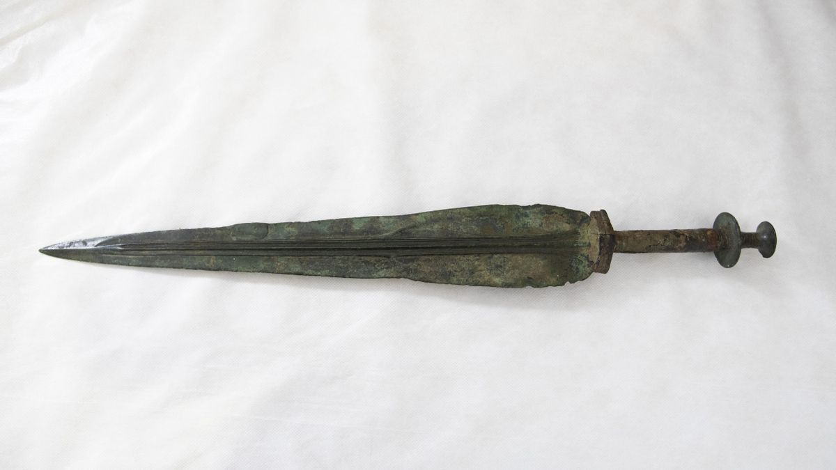 Junto a las monedas, aparecieron espadas prehistóricas de "valor incalculable"