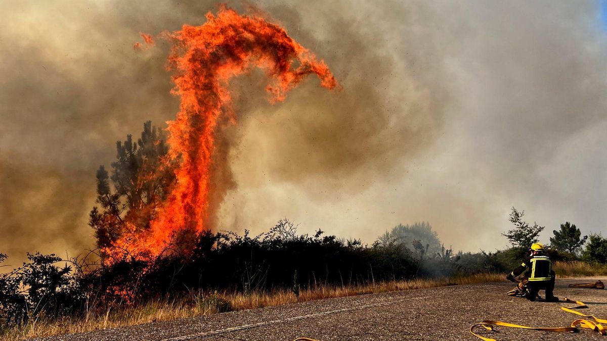 De tormentas eléctricas a remolinos de fuego: los incendios forestales pueden generar su propio clima