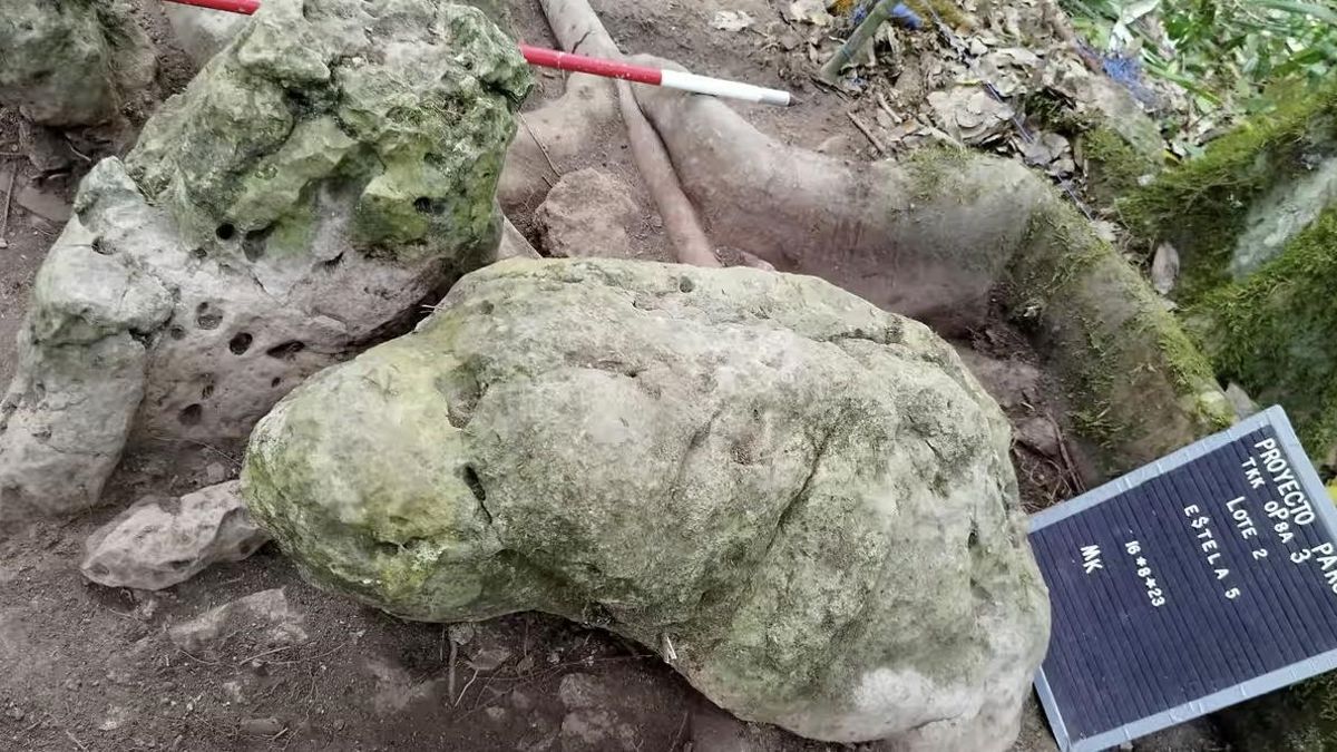 El conjunto presenta una organización ceremonial y técnica que obliga a revisar las nociones sobre las primeras ciudades mayas