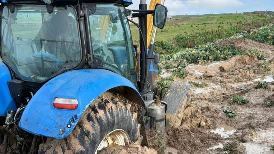 Problemas sanitarios, dificultades para sembrar y pérdida de cultivos, secuelas de las inundaciones en Castilla-La Mancha