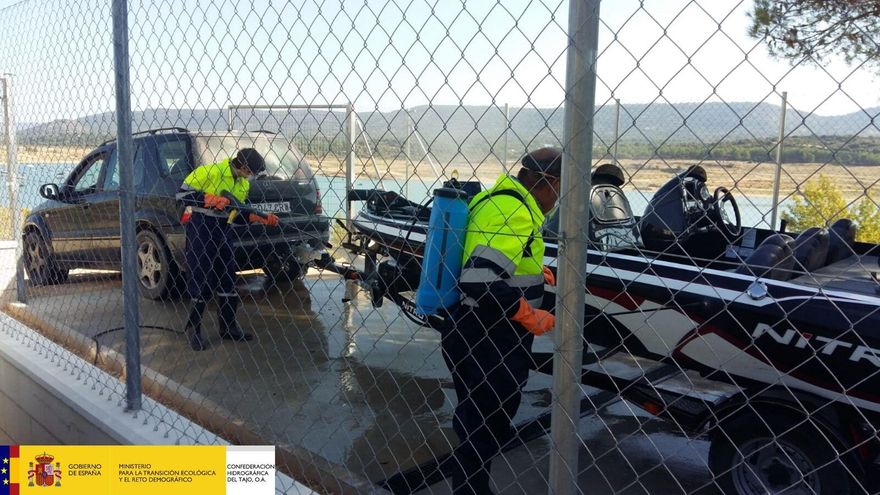 El mejillón cebra coloniza ahora los ya tensionados embalses de la cabecera del Tajo