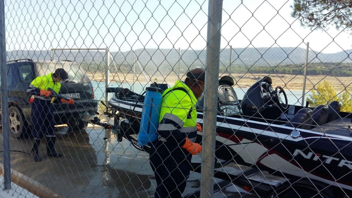 El mejillón cebra coloniza ahora los ya tensionados embalses de la cabecera del Tajo