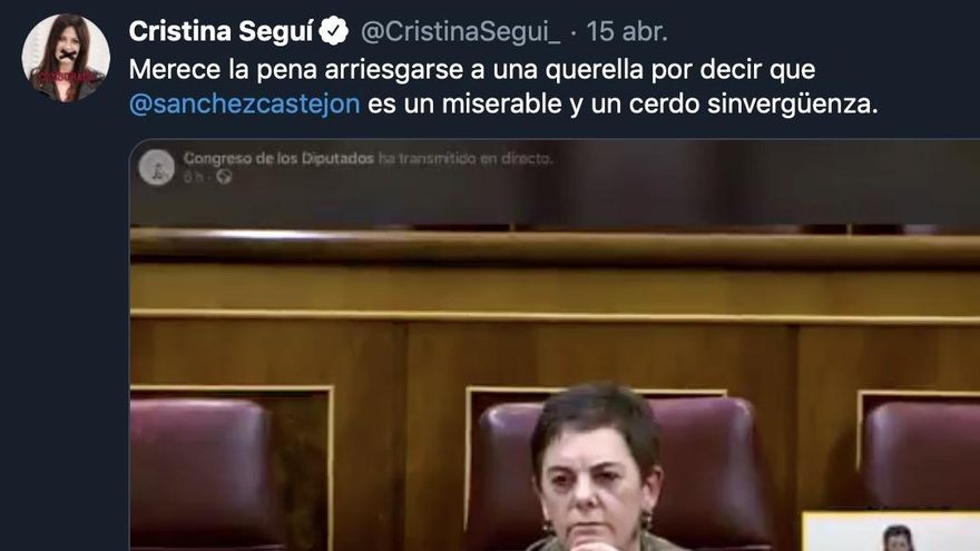 Uno de los tuits contra el Gobierno publicados por la tertuliana Cristina Seguí