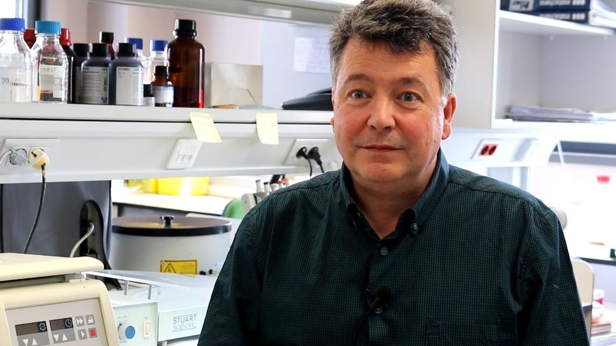 Investigadores de Cantabria descubren una nueva diana molecular para el tratamiento de enfermedades autoinmunes