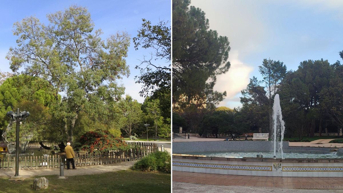 “Más cemento y menos especies”: critican la renovación del Jardín Botánico de Zaragoza por 1,3 millones de euros