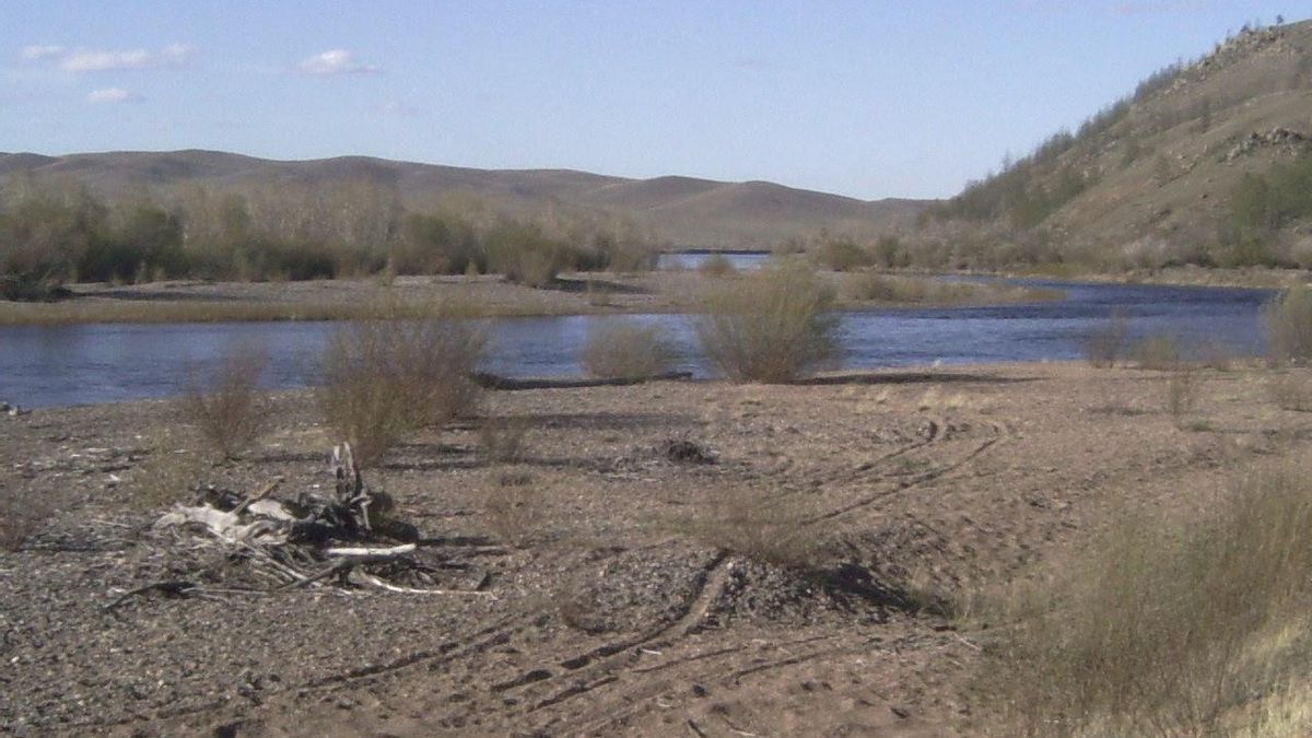 Especialistas sitúan el posible enterramiento dentro de Mongolia, pero la falta de pruebas concluyentes impide señalar un punto concreto y mantiene abierta la discusión
