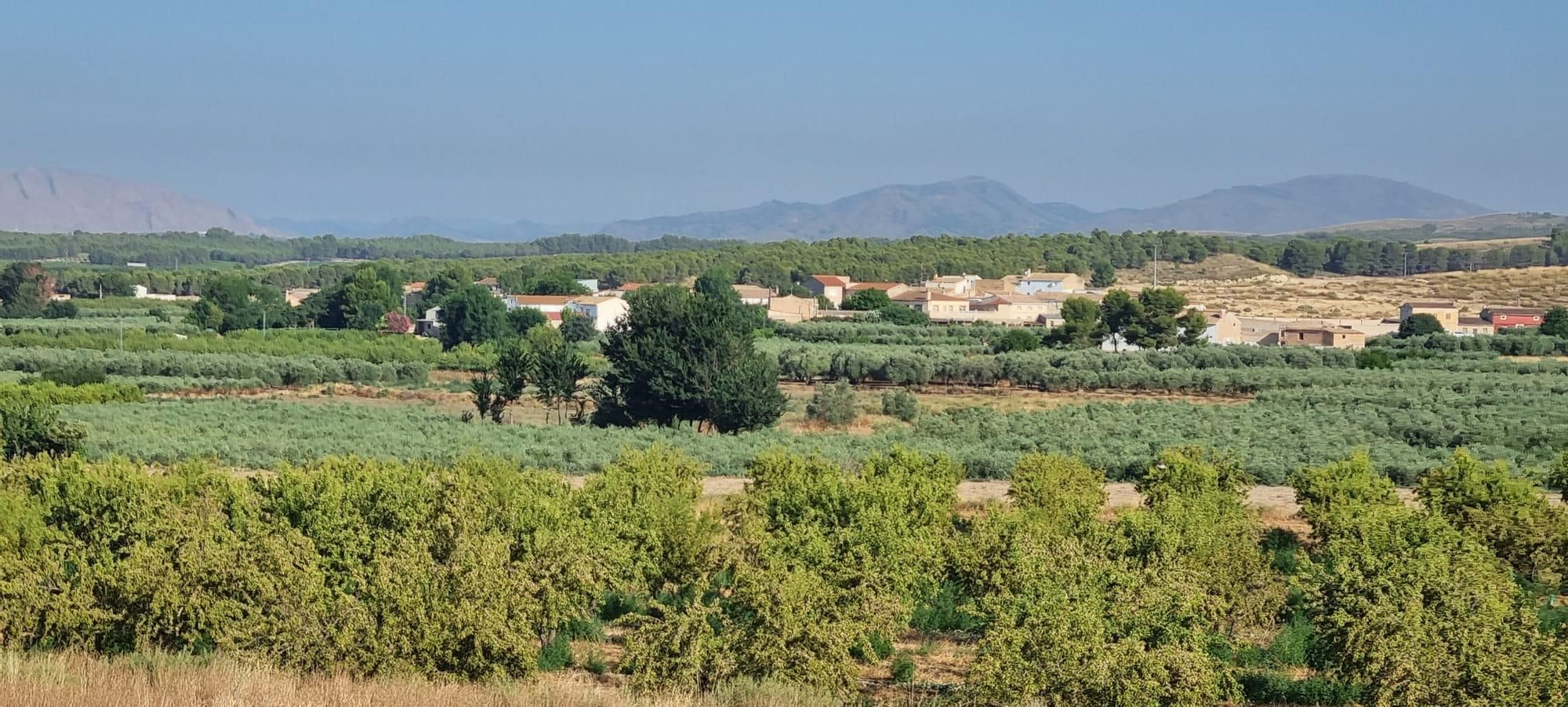 Descubren un yacimiento visigodo desconocido hasta ahora en una pedanía de Hellín