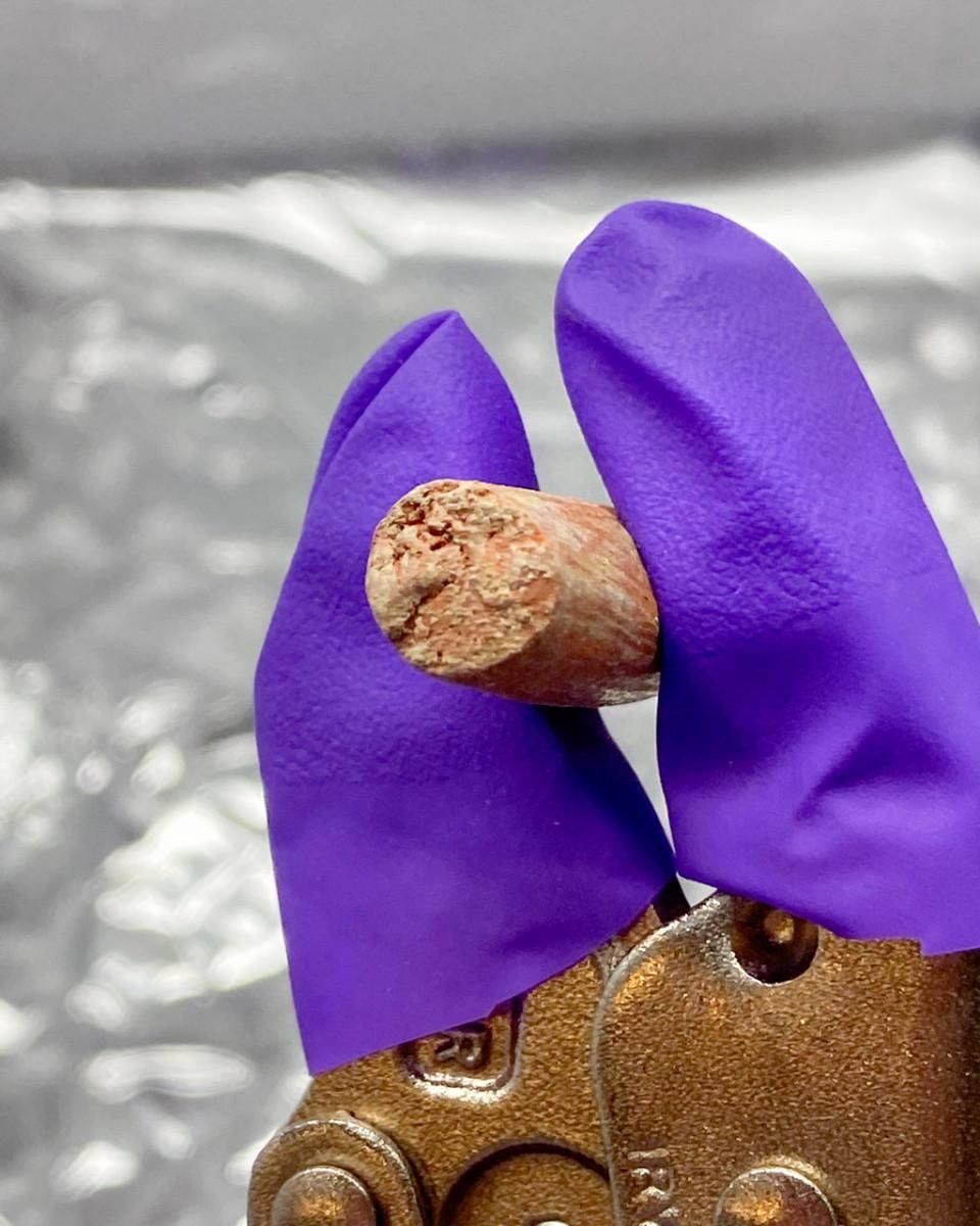 Se muestra una muestra de cerámica tras la incubación, con una costra de tierra en su exterior.