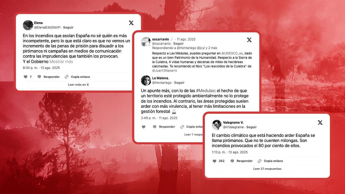 De la recalificación de terrenos a las tramas de terrorismo pirómano, los bulos sobre incendios que arden en redes
