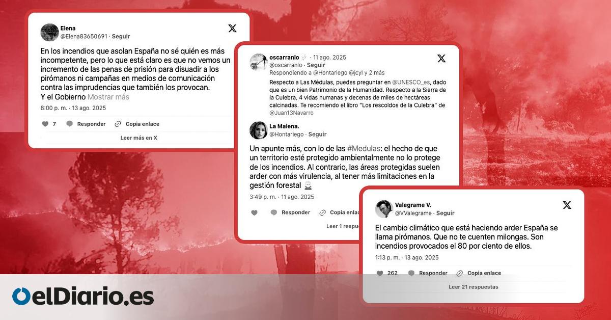 Del terrorismo pirómano a las  multas de la Agenda 2030  por limpiar, los bulos sobre incendios que arden en redes