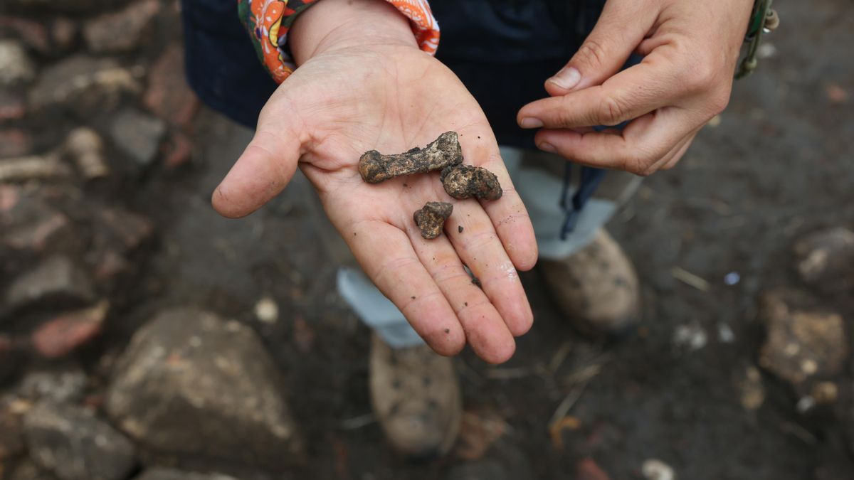 Esperanza Martín muestra los huesos de un pie recuperados en el yacimiento