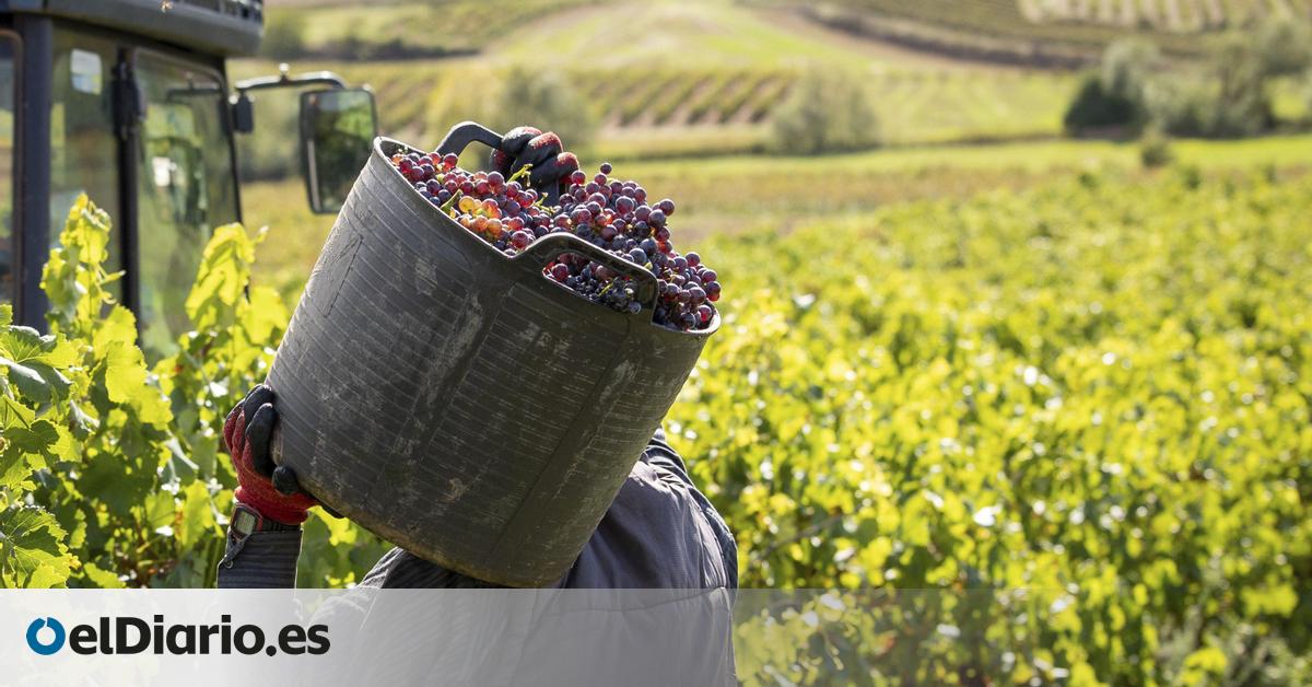 “Sin miedo” a regularizar migrantes: en Castilla-La Mancha representan el 90% del nuevo trabajo autónomo