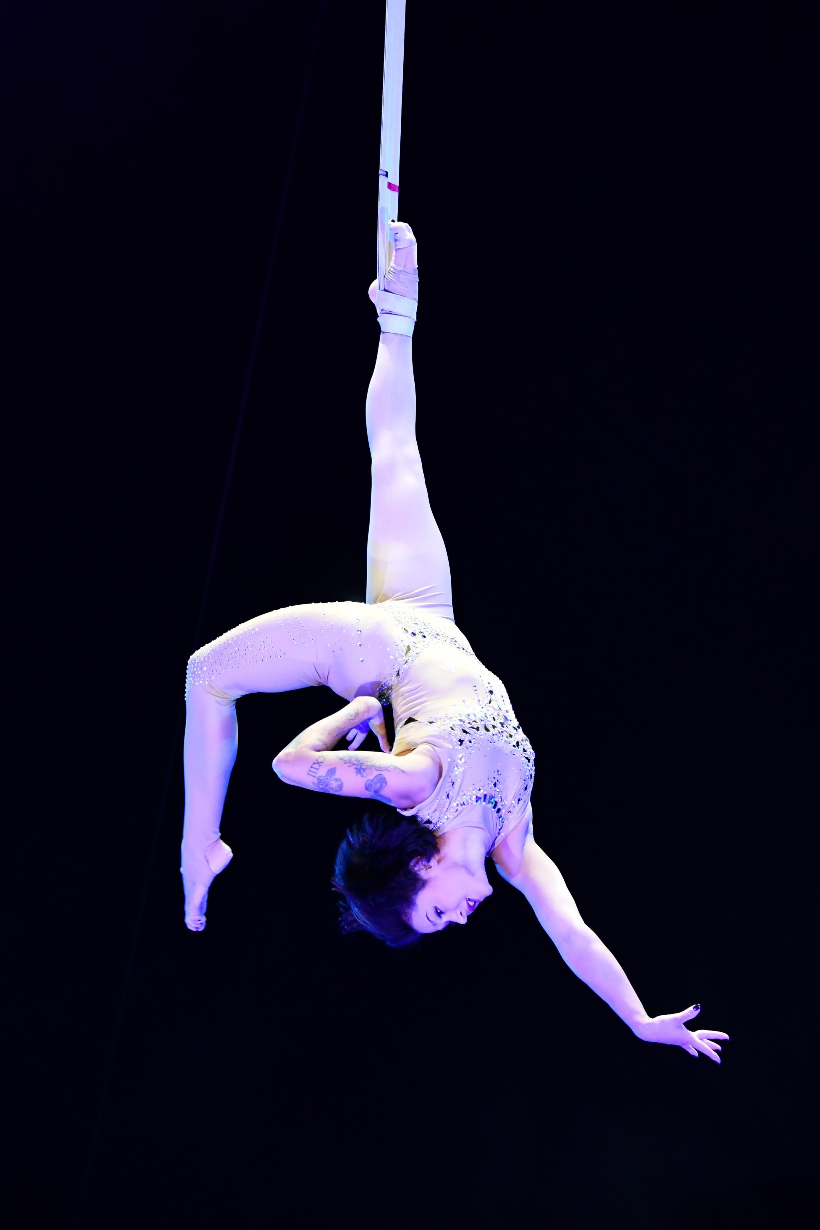 Festival Internacional del Circo