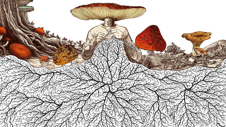 Los hongos, del bosque a una metáfora del paisaje digital