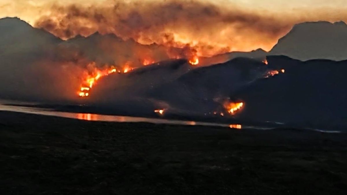 Según el World Weather Attribution, este 2026 el planeta estaría enfrentando un año de incendios particularmente severos. Foto: cortesía ©Parques Nacionales