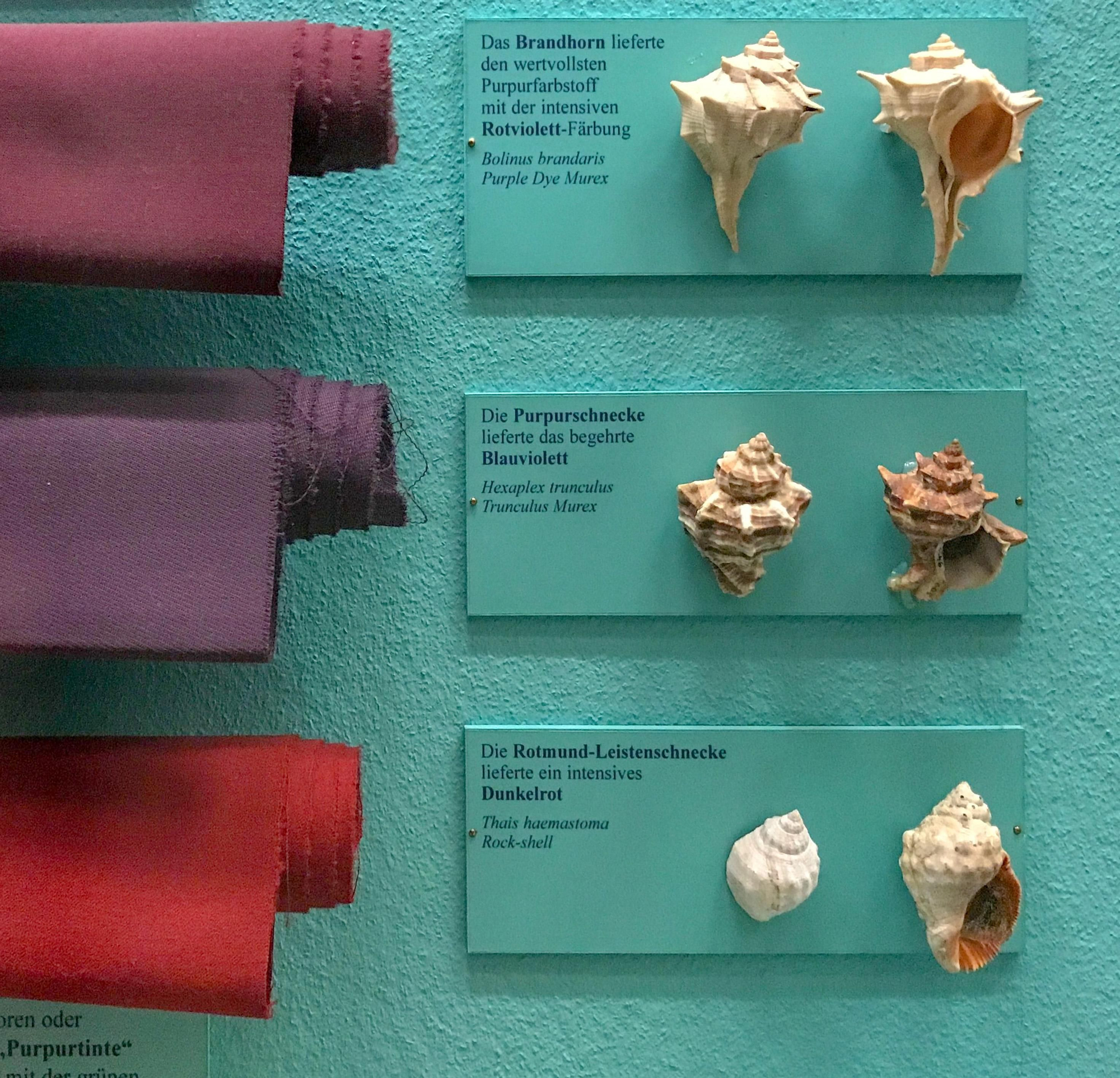 Tejidos teñidos en la actualidad a partir de diferentes especies de caracoles marinos. Es posible que los colores de esta fotografía no los representen con exactitud.