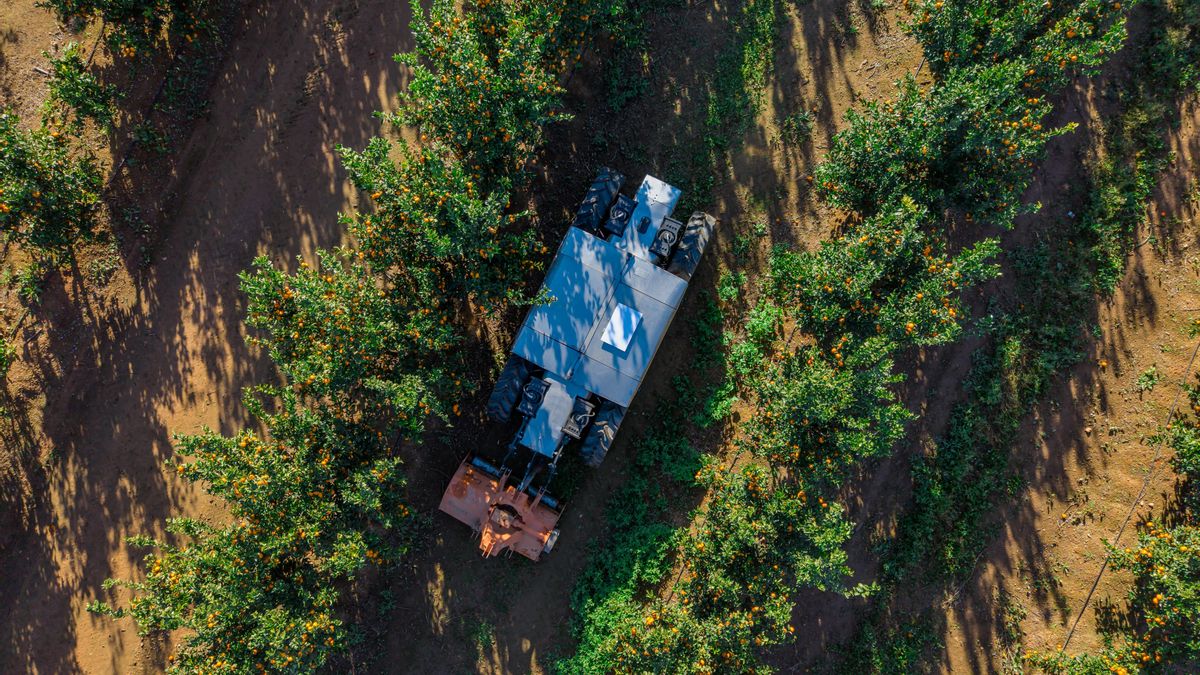 Tractor eléctrico autónomo en una finca de cítricos.