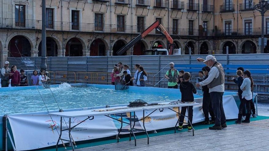 Pacma denuncia el "uso cruel" de las truchas depositadas en las piscinas de la Plaza Mayor de León