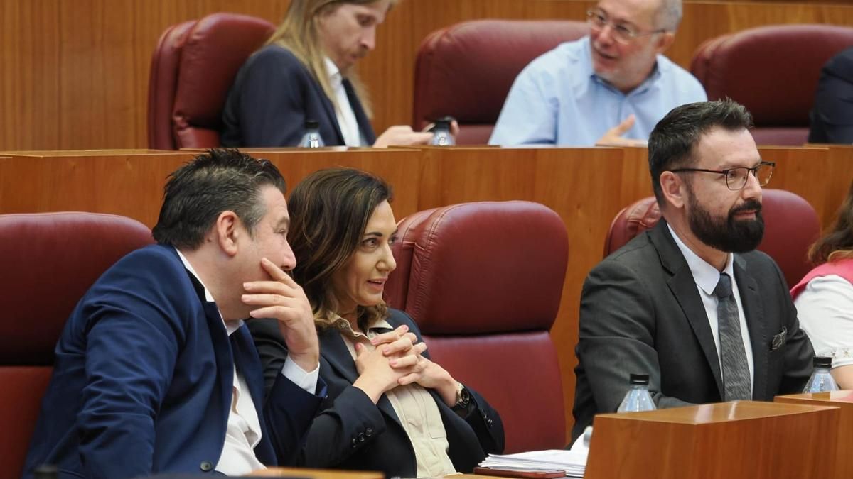 La UPL preguntará a Mañueco en las Cortes si tiene "voluntad" para negociar los presupuestos