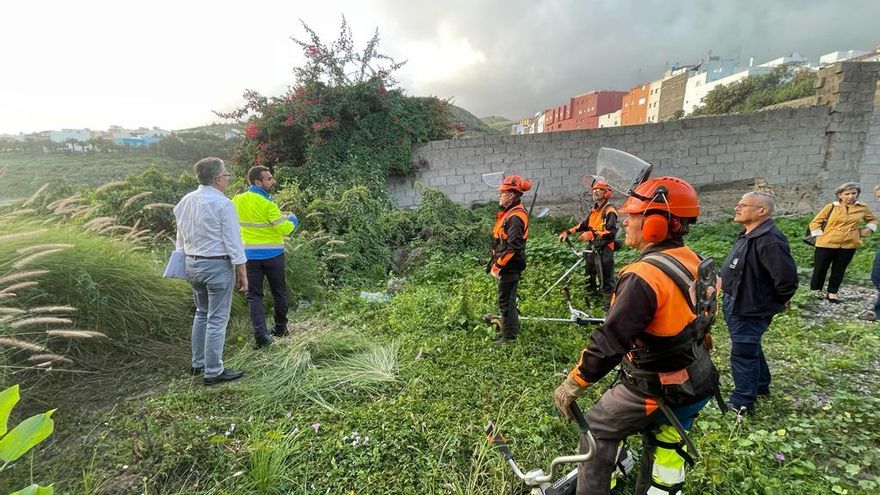 Ayuntamiento y Sanidad inician una limpieza especial en barrios de Las Palmas de Gran Canaria para erradicar al mosquito tigre