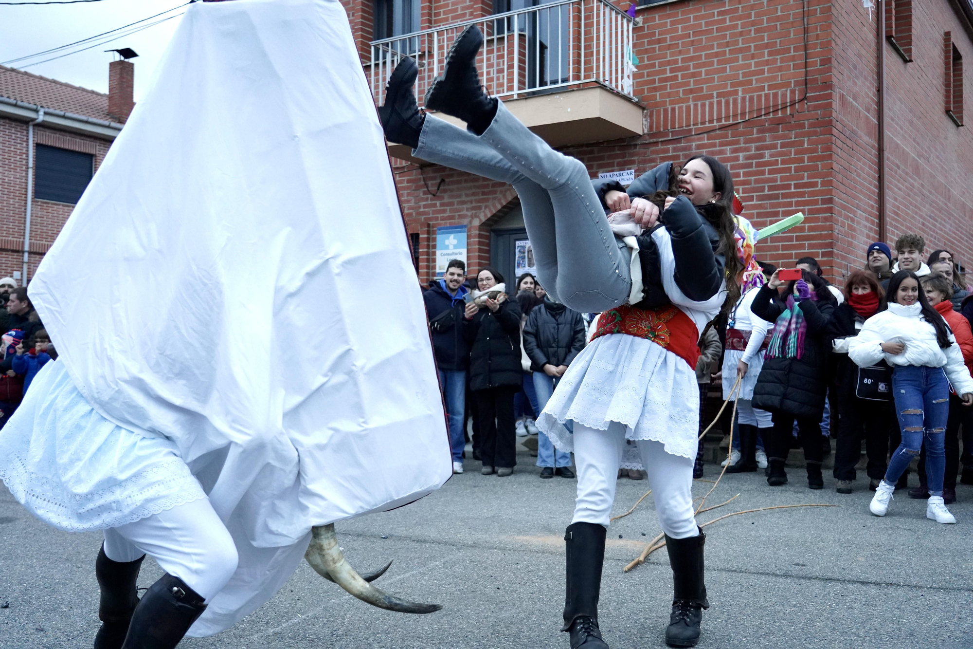 Toros y guirrios del antruejo en Velilla de la Reina