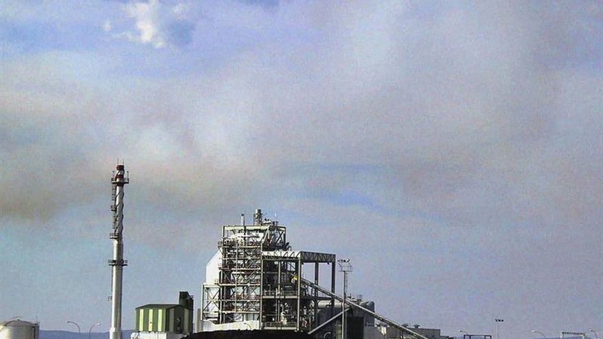 Japón albergará la segunda mayor planta eléctrica de biomasa del mundo