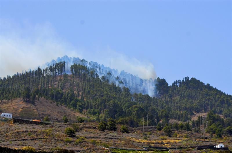 El frente sur del incendio forestal de La Palma, llegó a primera hora de la tarde a las proximidades de Los Canarios.