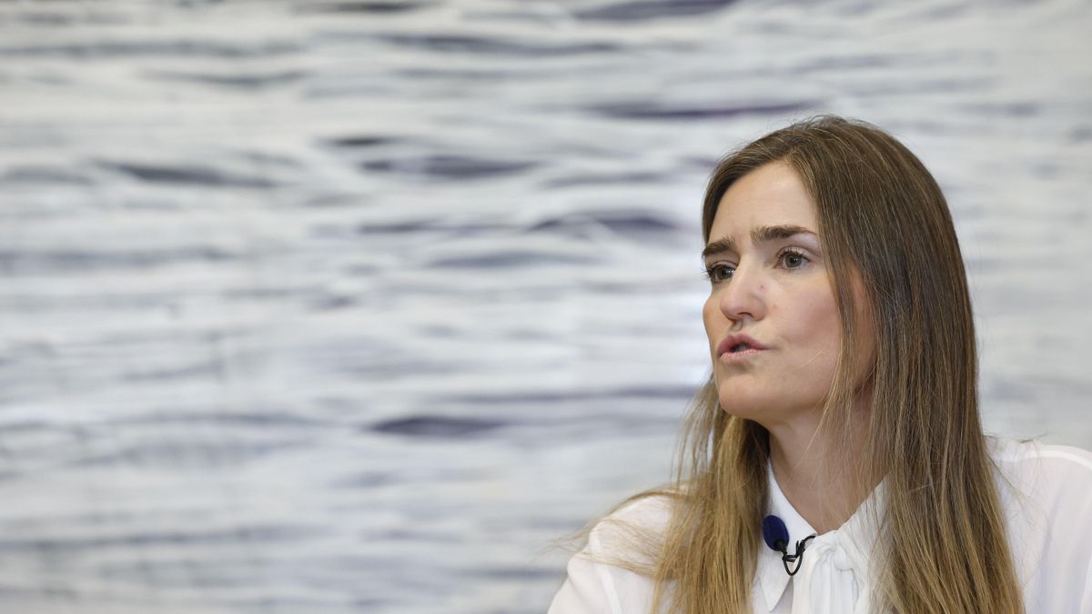 “Tienen toda la razón”: la carta de expertos militares para que las renovables computen como gasto en Defensa