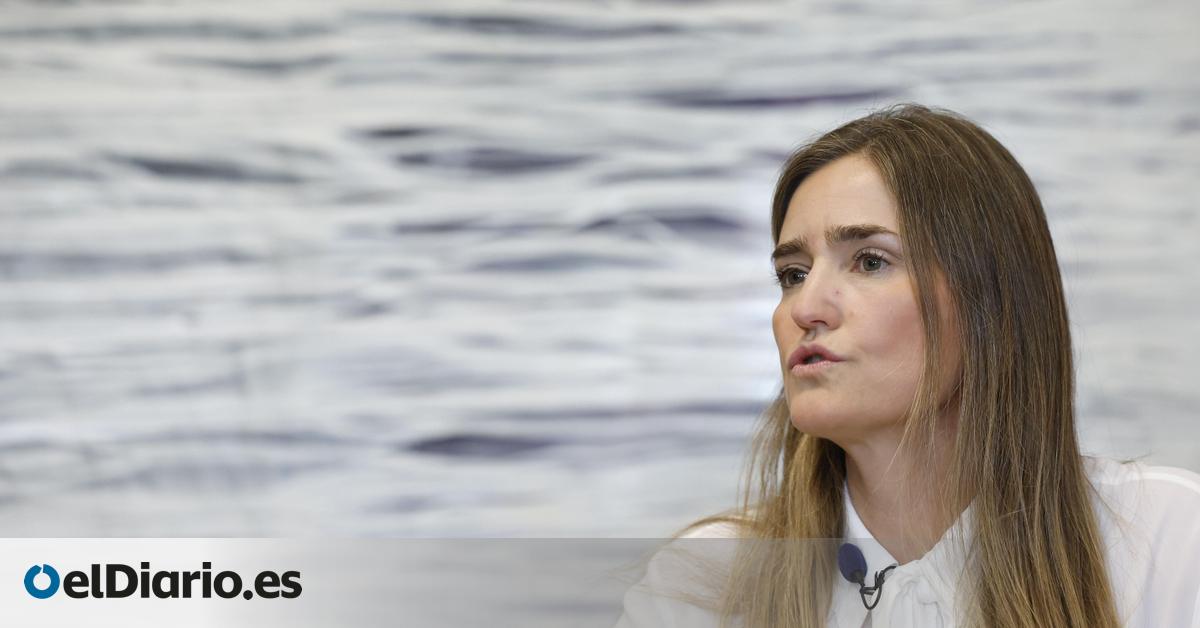 “Tienen toda la razón”: la carta de expertos militares para que las renovables computen como gasto en Defensa