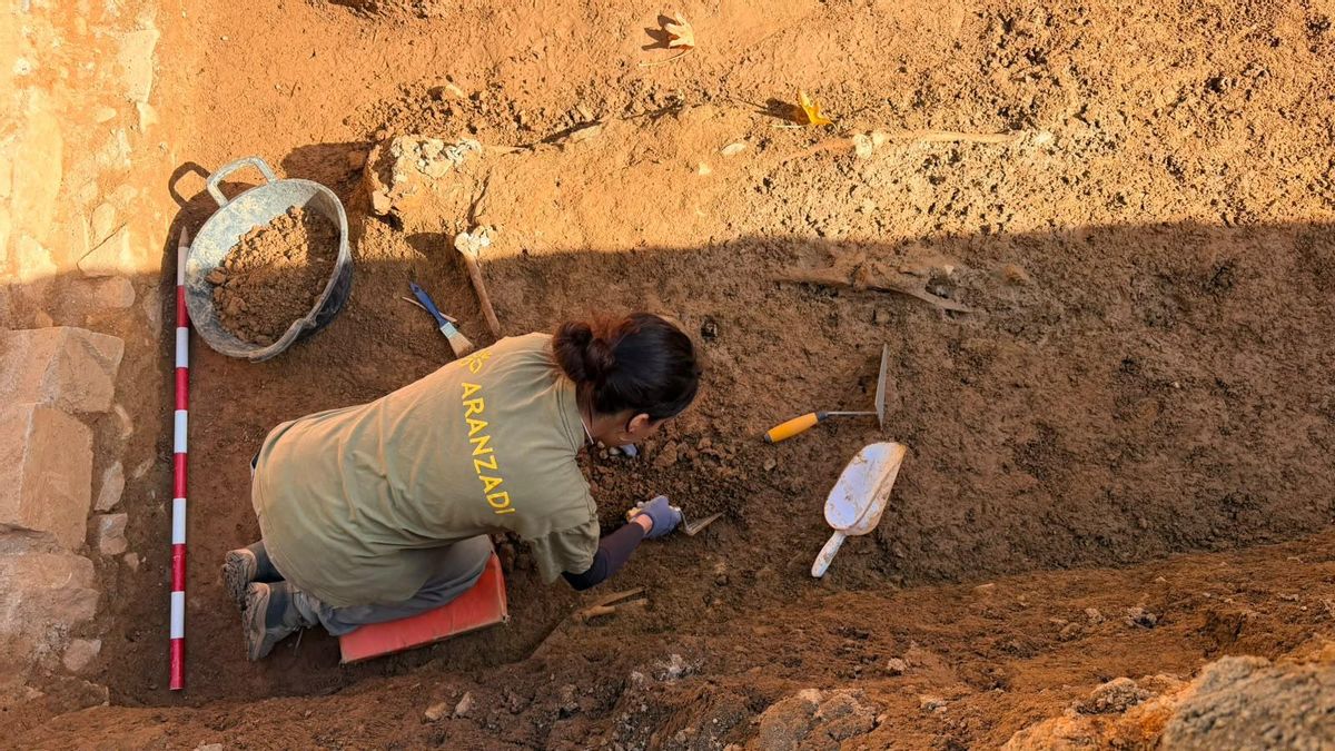 32.448 días después: Las fosas de Cáceres empiezan a revelar el destino de 153 víctimas de la represión franquista