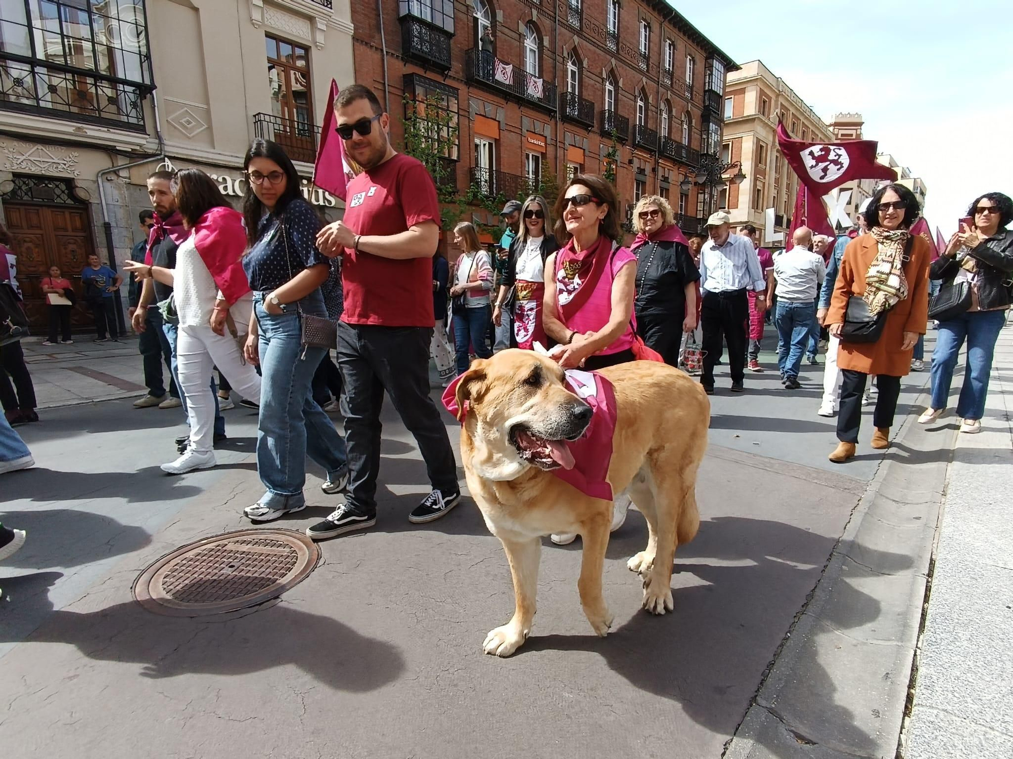 Cientos de personas exigen el 23 de abril el camino de 'León solo' y en libertad